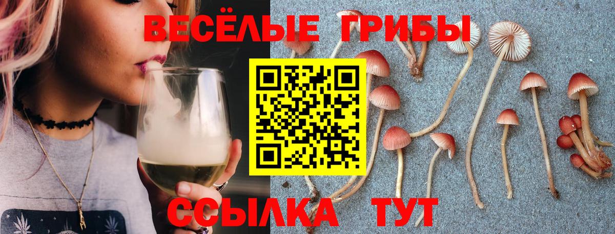 Галлюциногенные грибы GOLDEN TEACHER Ртищево